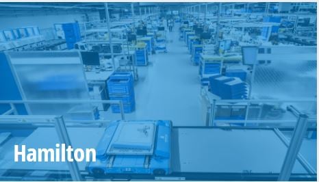 Case Study Hamilton
